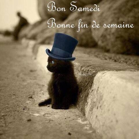 Bon Samedi Bonne Fin De Semaine Bon Samedi Bonne Fin De Semaine