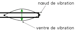 Conseil première carabine en 22lr - Page 4 Rygime11