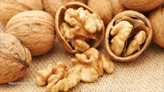 Natural News - Prevent asthma attacks with the vitamin E found in nuts Walnut10