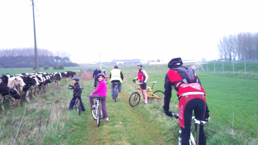 CR du parcours du coeur Cambrai - 03/04/2011 58710