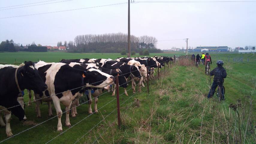 CR du parcours du coeur Cambrai - 03/04/2011 58910