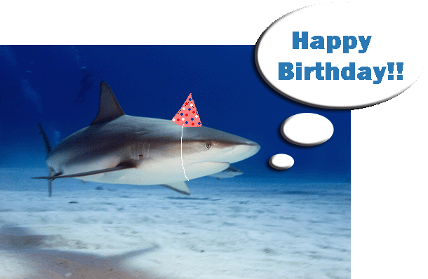 RENE, Ronner51 und vsausw haben heute Geburtstag Shark110