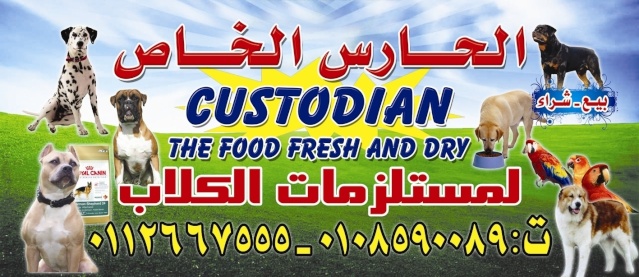 تدريب الكلب على الحراسة والهجوم