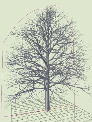 Add-on Sapling Tree Gen : Créer des arbres avec Blender Buildi57