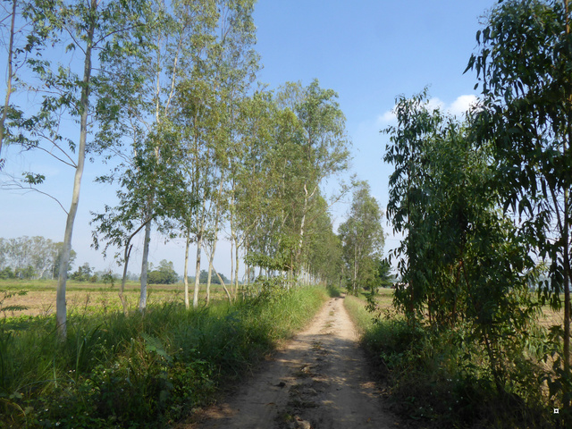 A la campagne ! 1-00510