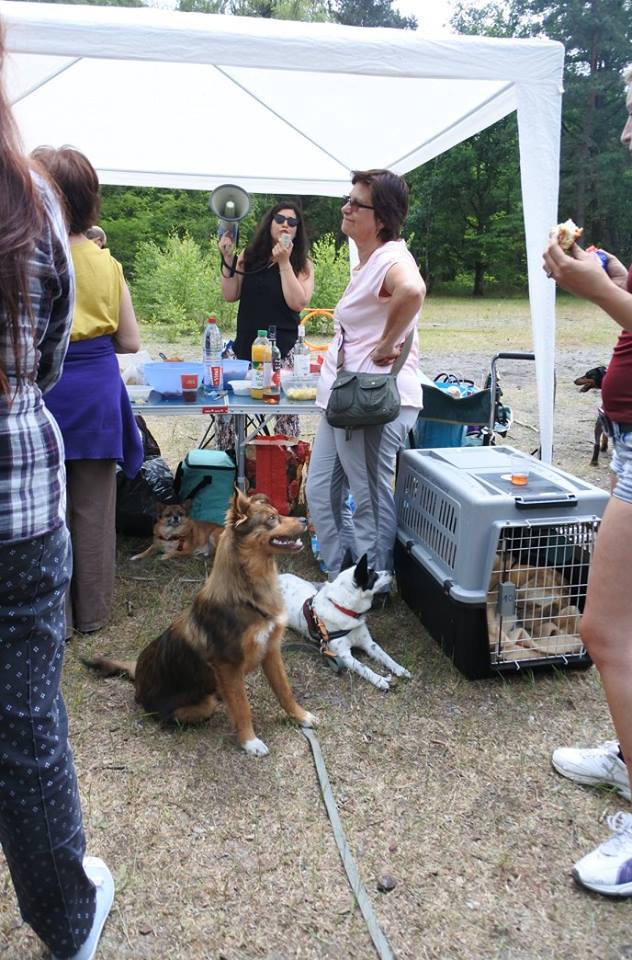 RETROUVAIL* - JOURNÉE RETROUVAILLES LE SAMEDI 02 JUIN 2018 A FONTAINEBLEAU - Page 2 34266710