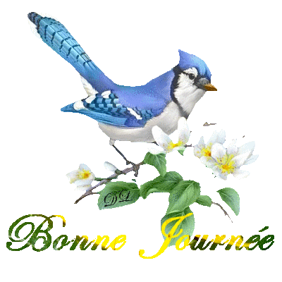 BONNE JOURNÉE a TOUS - Page 8 62414312