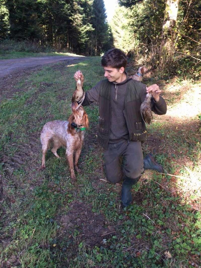 Récits, photos et observation de la bécasse , saison 2017/2018. - Page 6 23157911