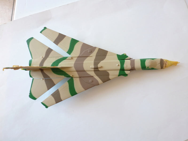 Su 24 iran  Trumpeter 1/72 P1120027