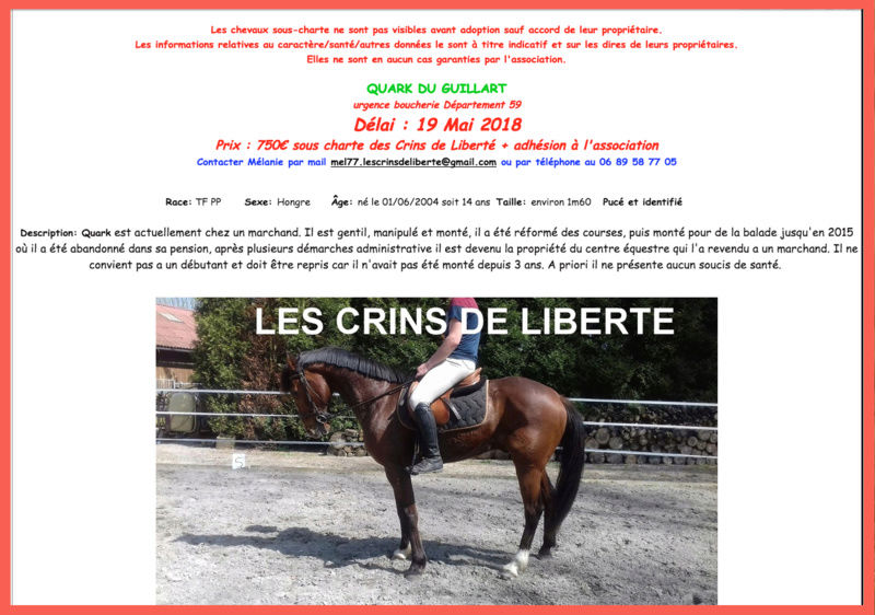 (Dept 59) 14 ans - Quark du guillart - TF PP - hongre -adopté par Christelle (2018) Captur73