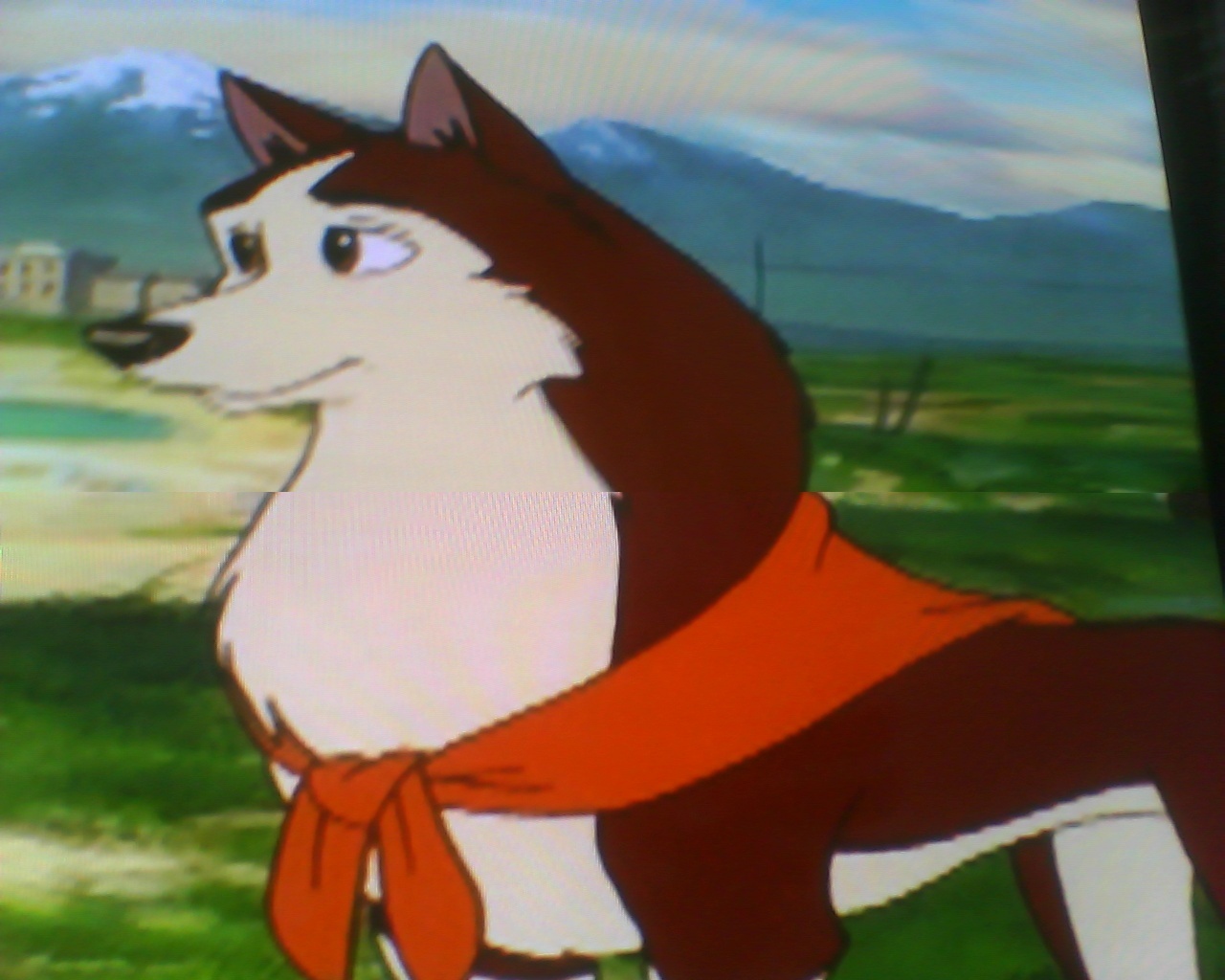 Ficha de Himeko Balto-10