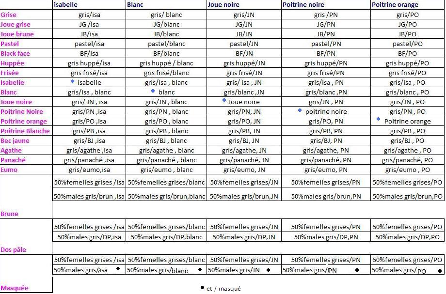 Tableau recapitulatif des accouplements (genetique) Mutati23