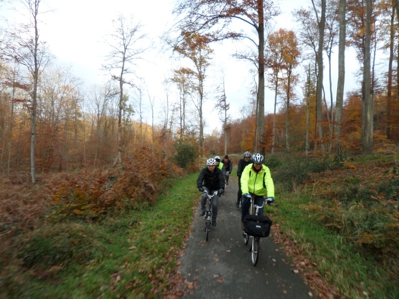 Balade à Compiègne [18 novembre] saison 12 •Bƒ Sam_7352