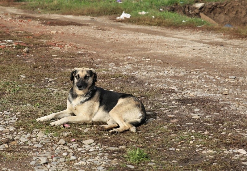 Parrainage de Louna Louna10