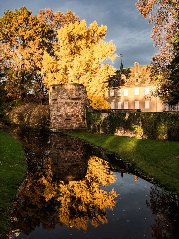 Thème d'octobre 2017 " L'(EAU)TOMNE " Ginkgo10