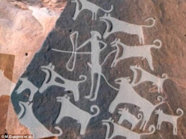 le premier chien dessiné trouvé date de 8000 ans et porte une laisse 46885a10