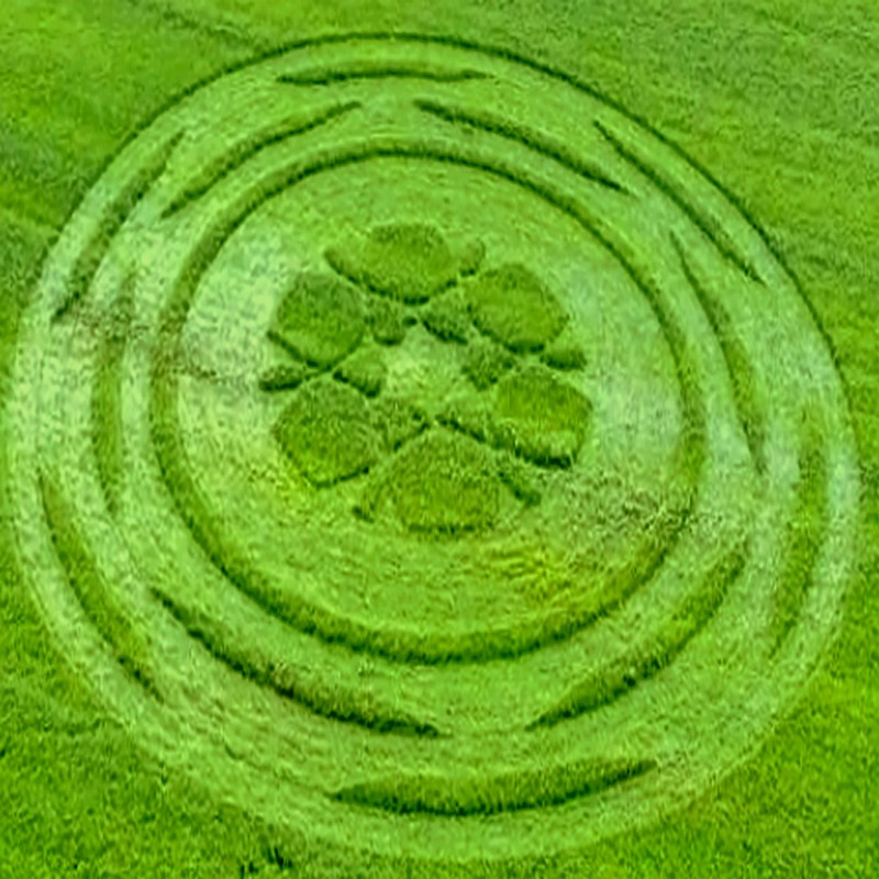 images originales : les crop circles de 2017 - Page 4 Pihpih10