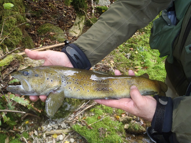 peche - Grand moment de pêche  Le_flo14