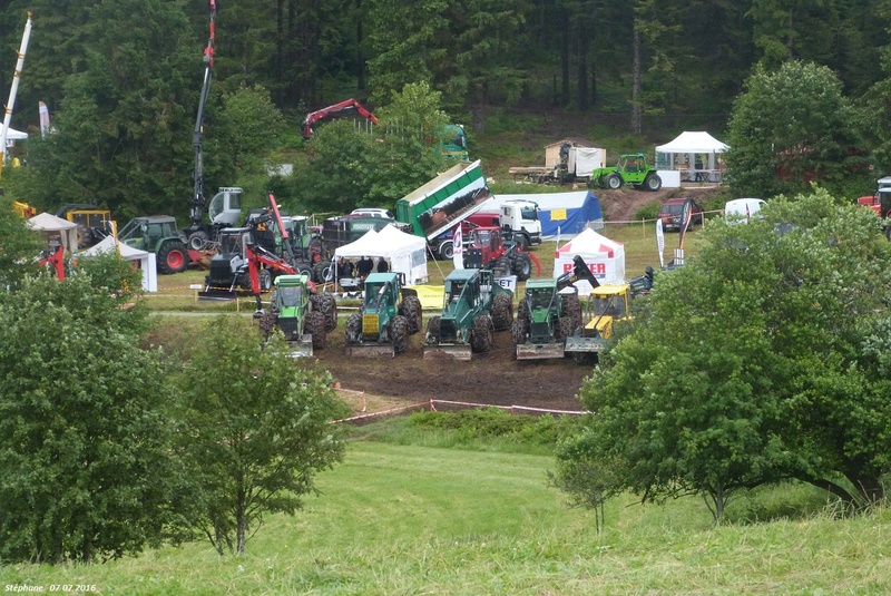 Plusieurs skidder sur la même photo P1340251