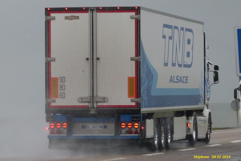 TNB Alsace (Transports Nicolas Baecker)(Weislingen, 67) P1410371