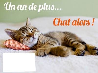 Un Joyeux Anniversaire Archive 1 Page 11