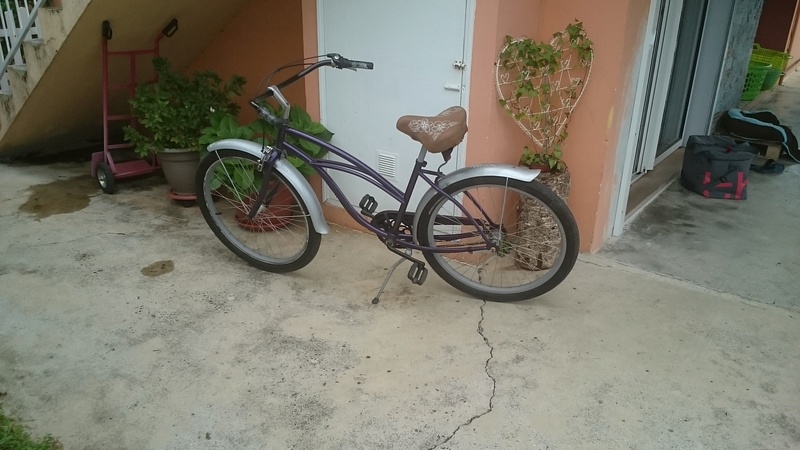 vélo custom electra Dsc_0310
