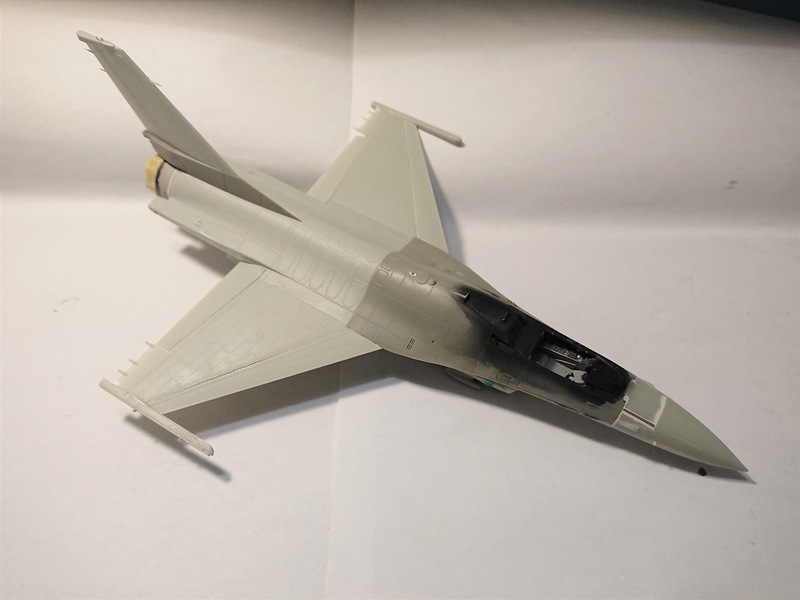 F-16C Agressor Top Falcon [Eduard 1/48] Dsc_0340