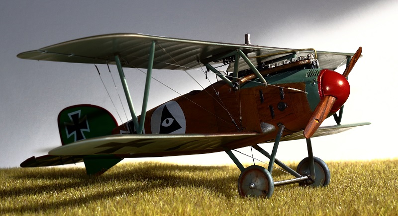 ALBATROS DIII Aimg_311