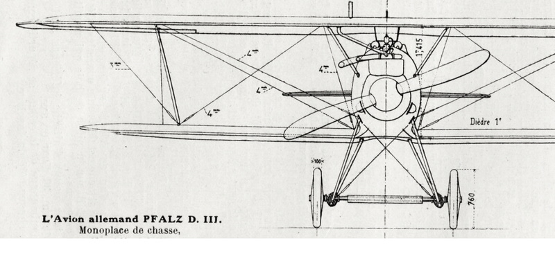 Albatros D III - Eduard - 1/48ème. - Page 2 Pfalz_10