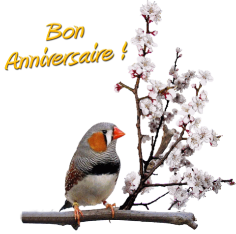Bon Anniversaire Malinette 07
