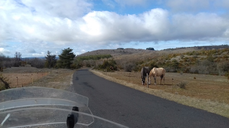 CR de ma petite semaine dans le Sud. (photos et finition) 024_0_10