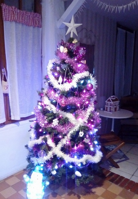Noël 2017 24550512