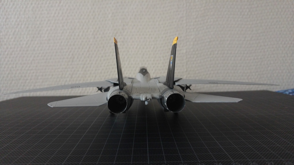 [REVELL] F-14D Super Tomcat "Last Flight"  1/72 20180120