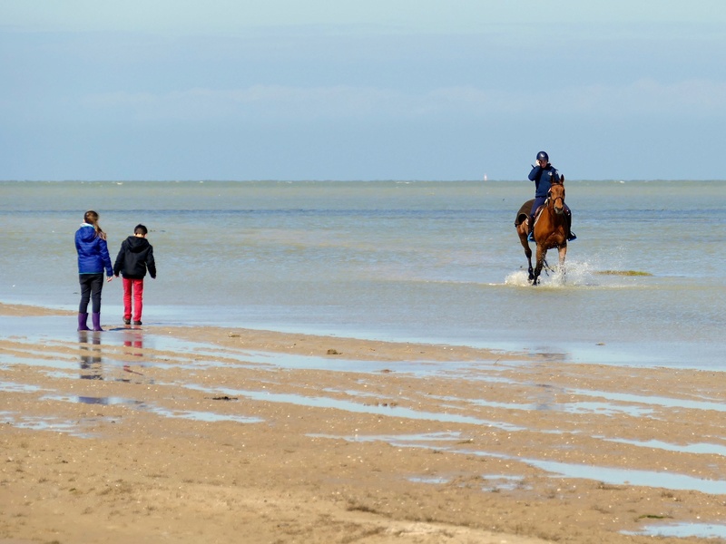 Le cap gris-nez au couchant P1050610