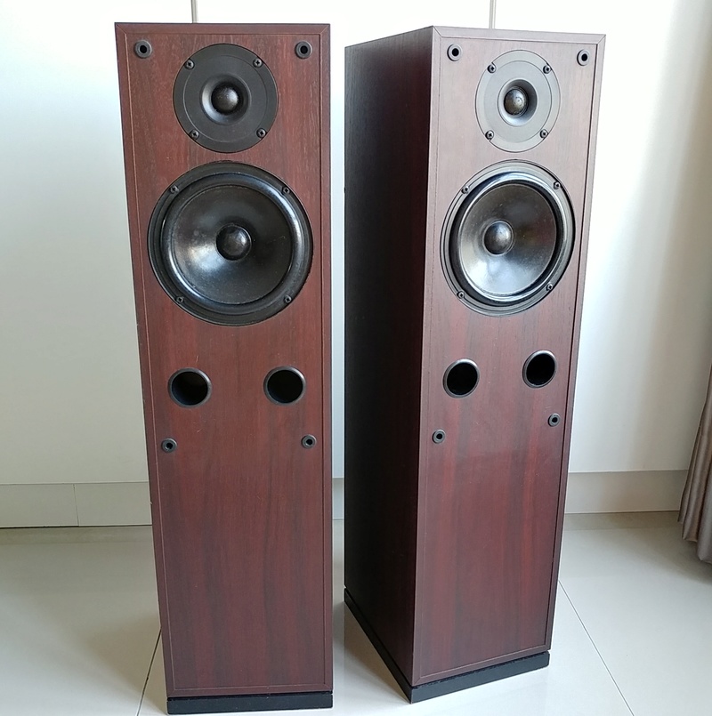 SYSTEMDEK SYSTYM 165 Scotland Floorstanding Speaker 20180475
