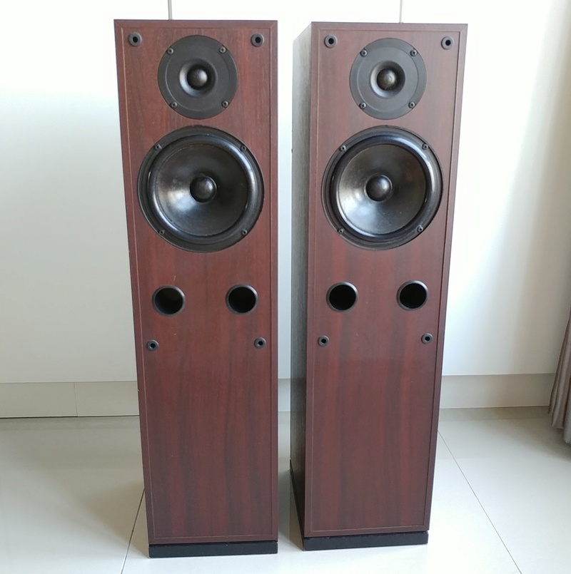 SYSTEMDEK SYSTYM 165 Scotland Floorstanding Speaker 20180476