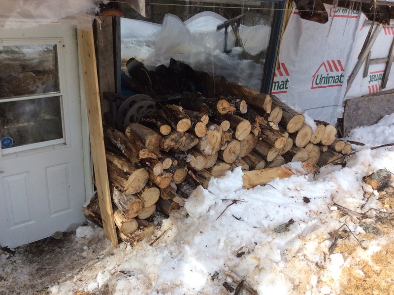 Forêt et cabane a sucre (1ère partie) - Page 33 10_avr10