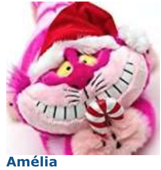 Concours d'avatars de Noël 2017 : LES VOTES Amylia10