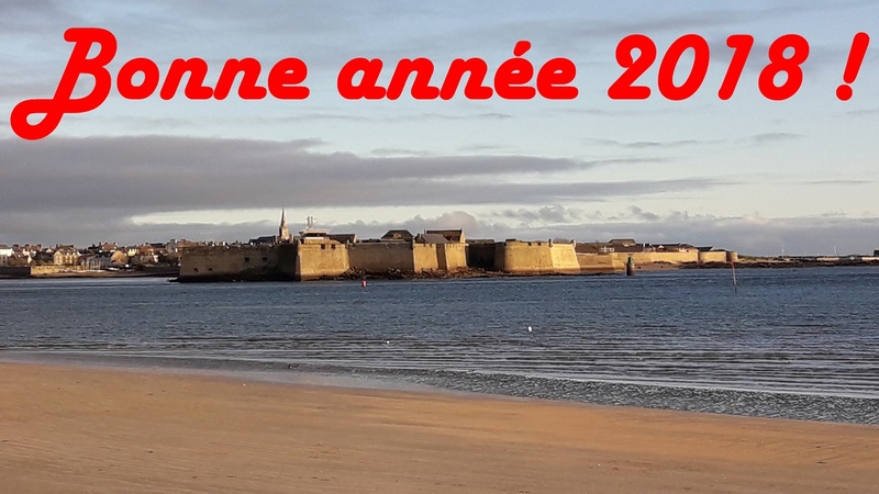 BONNE ANNEE 2018 Voeux_10