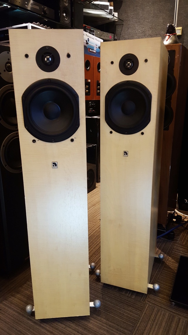 AudioPro - Focus SA-5 Floorstand Speaker (Sold) 20180118