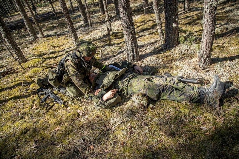 Armée Finlandaise / Finnish Defence Forces / puolustusvoimat - Page 9 1713