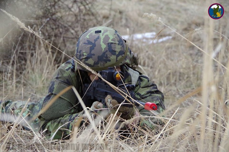 Armée tchèque/Czech Armed Forces - Page 10 24919