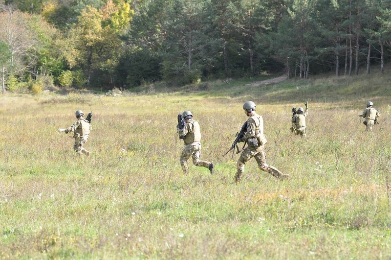 Slovenian Armed Forces / Slovenska vojska - Page 3 2919