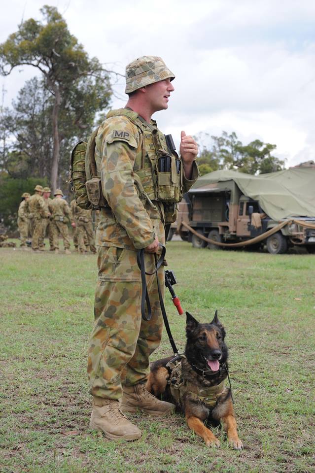 Armée Australienne/Australian Defence Force (ADF) 2922