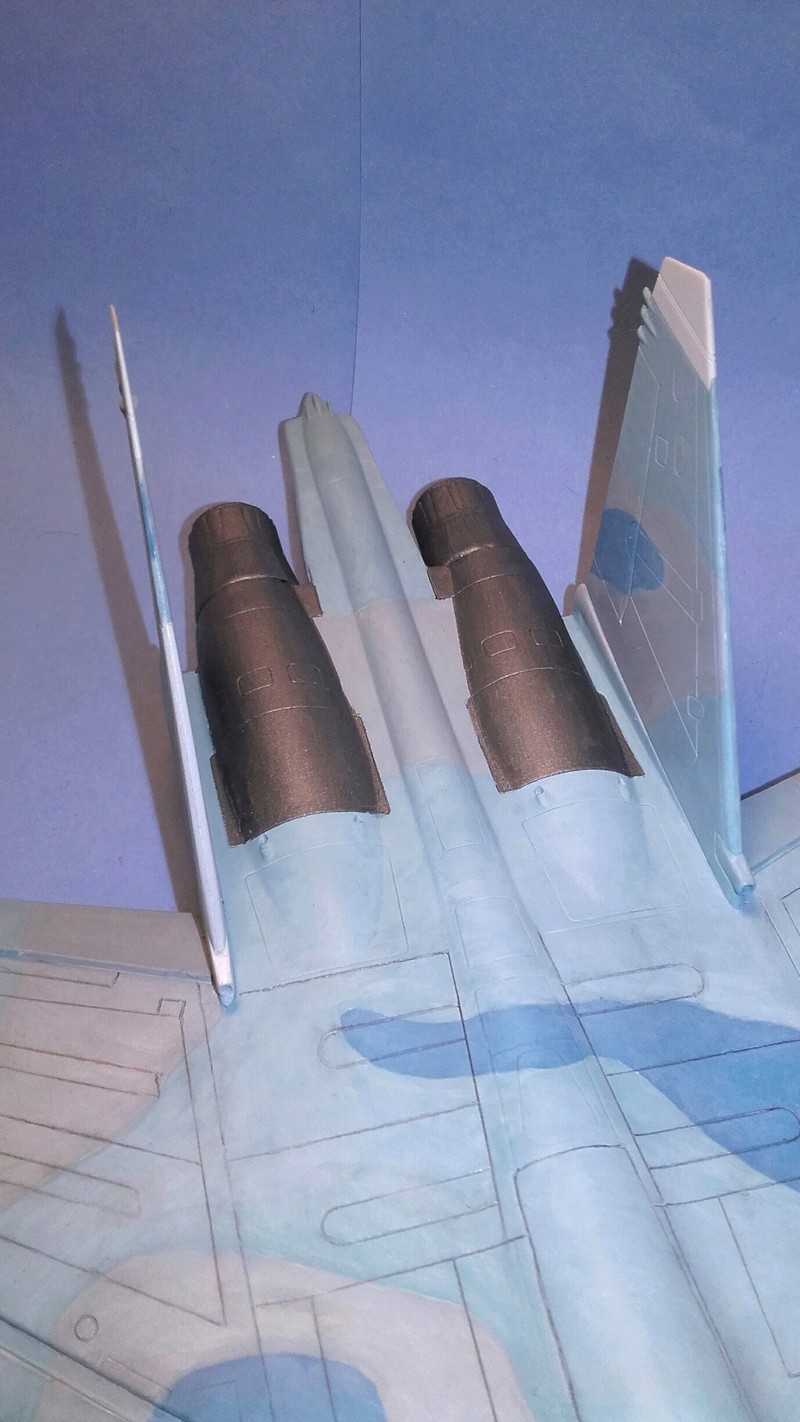 SUKHOI Su-27 UB FLANKER Réf 80371 - Page 2 Dscf1128