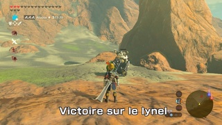 voyage en Hyrule par denfull Victoi10