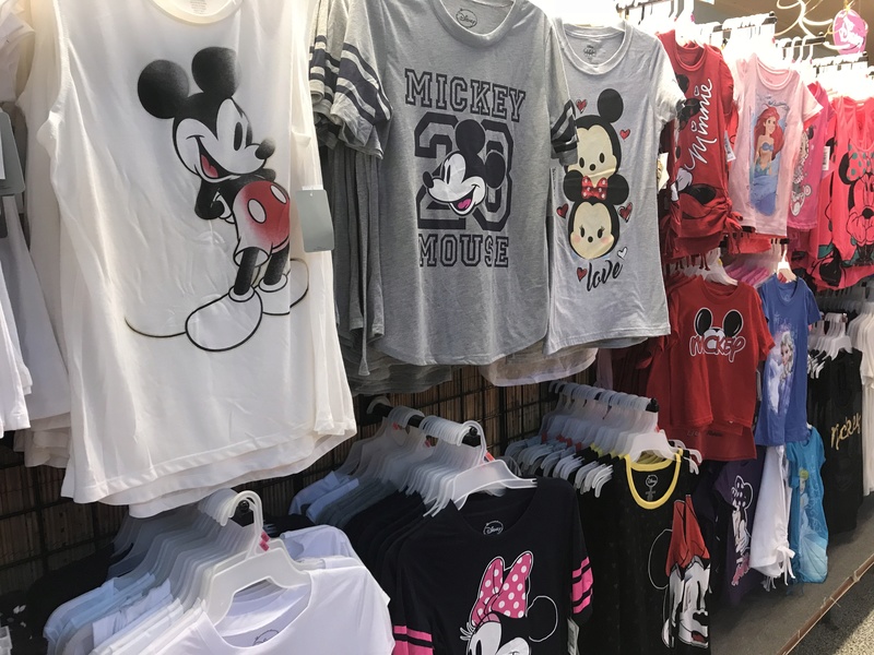 [TR Octobre 2017] Disney World - Disney Cruise Line - Universal  - Page 3 Img_4620