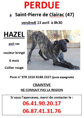 PERDUE GALGA dans le 47 Perdue10