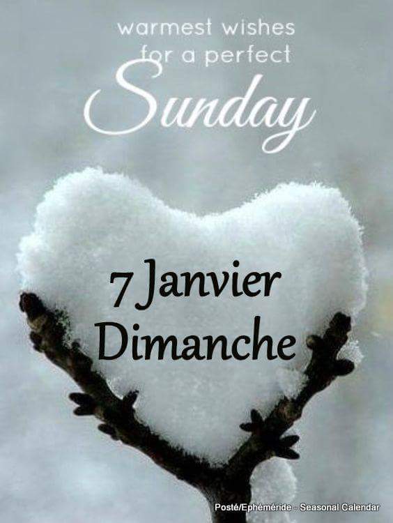 mois de janvier 2018 - Page 4 26168310