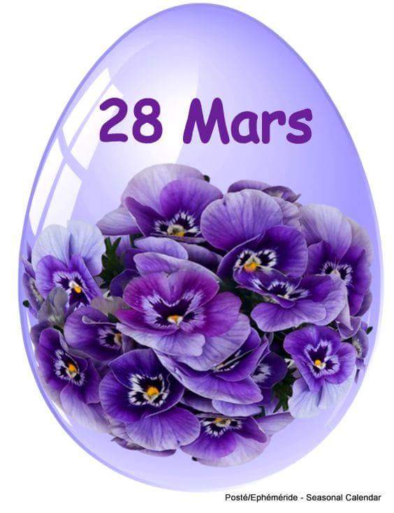 Mars 2018 - Page 16 29542310